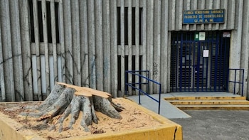 Reportan la tala de un árbol que pertenecía a una clínica de la UNAM en la Venustiano Carranza (X/ @GyrFrance)