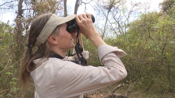 El programa busca incentivar el