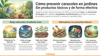 Infografía con seis ilustraciones de métodos para prevenir caracoles: riego matutino, evitar nocturno, goteo, eliminar refugios, recolección manual y sin venenos.