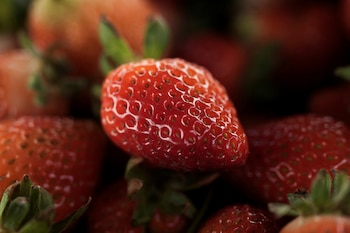 Las frutillas combinan menos carbohidratos totales con una carga de azúcar menor, una relación que ayuda a retrasar la digestión y a mantener más estable la glucosa en sangre (REUTERS/Ivan Arias)