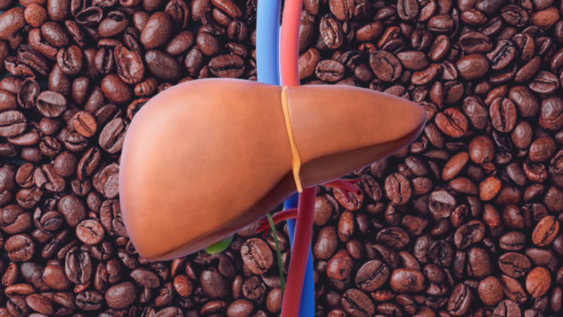 Un estudio de BMC Public Health muestra que los consumidores de café presentan un 21% menos de riesgo de enfermedad hepática crónica - Foto: (Jesús Tovar Sosa/Infobae)