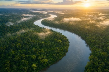 Vista aérea de un río curvo rodeado por un bosque verde con neblina y la luz del sol en el horizonte.