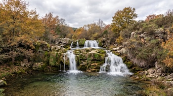 Cascadas escalonadas sobre rocas con musgo que vierten agua en una poza, rodeadas por árboles y arbustos bajo un cielo nublado.