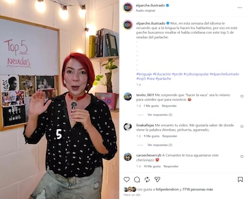 La creadora de contenido compartió el video el lunes 27 de abril de 2026 - crédito @elparche.ilustrado/IG