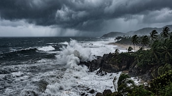 Olas chocan contra acantilados rocosos bajo un cielo oscuro de tormenta con lluvia y palmeras dobladas por el viento.