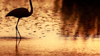 La Cámara de Representantes de