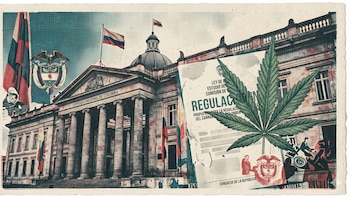Avanza proyecto que busca regular el cannabis de uso adulto en Colombia: esto le falta para ser nueva ley