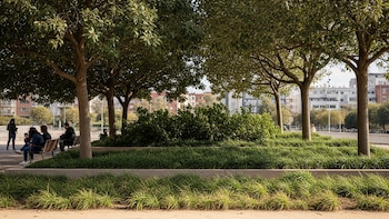 Los árboles pueden enfriar hasta 18 °C las ciudades, si se eligen las especies adecuadas