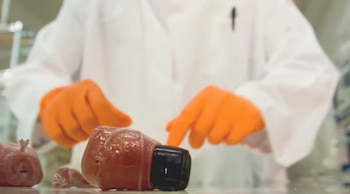 Primer plano del sistema de