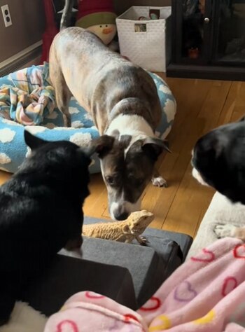 Con una buena guía y