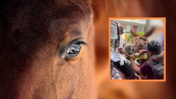 Video: indignación por hombre que