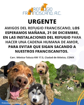 Convocan n redes sociales a