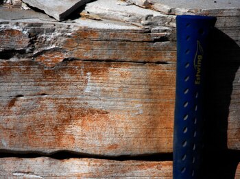 HALLAN NUEVA ESPECIE DE PEZ