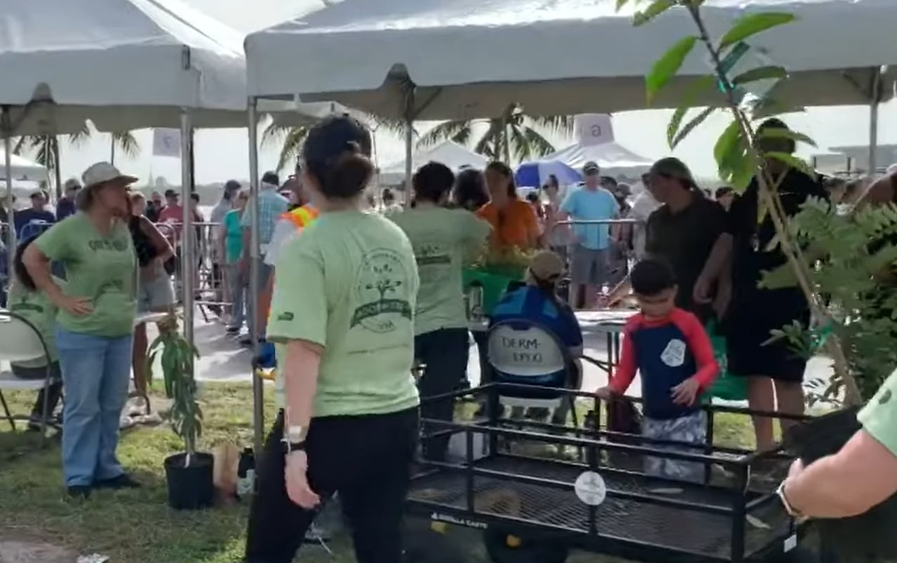 Los veteranos y militares en servicio activo accedieron a un carril prioritario en Adopt-a-Tree como parte de las celebraciones del Miami-Dade 250 (CBS News)