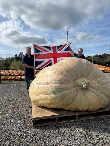 El récord mundial de calabaza