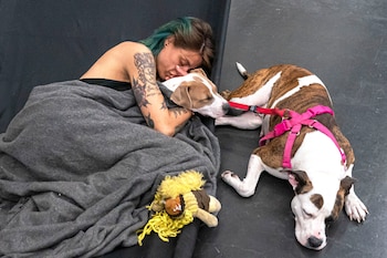 Una mujer descansa con sus