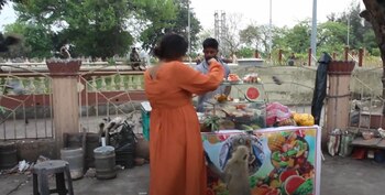 El consumo de alimentos procesados