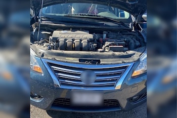 Por estos hechos se logró