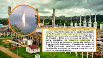 Gobierno suspende obligaciones ambientales en