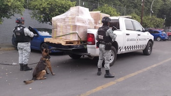 Guardia Nacional decomisa cargamento de marihuana en Jalisco