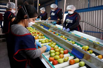 Productores estadounidenses denuncian competencia desleal