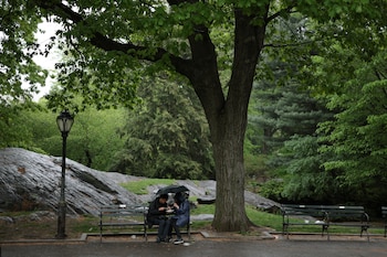 Central Park registró su segunda