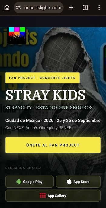 Stray Kids fanproject México. (Captura de pantalla)