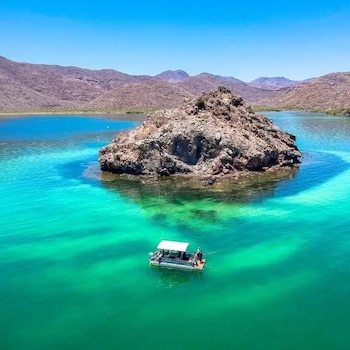 Bahía Concepción y el oasis de Mulegé convierten a este destino de Baja California Sur en uno de los lugares más atractivos para disfrutar de playas de aguas cristalinas, paisajes desérticos y naturaleza durante las vacaciones de verano