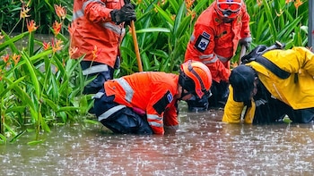 El proyecto en Zona Rosa