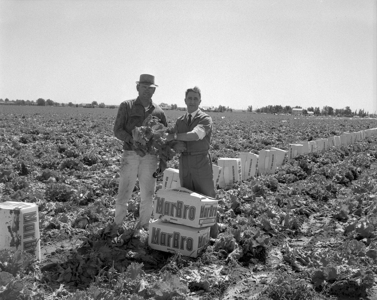 Puzant Torigian, empresario de Nueva Jersey, apostó por un cigarrillo vegetal que imitaba el ritual del tabaco sin sus riesgos - Cortesía de la Biblioteca del Condado de Deaf Smith