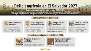 Infografía plana con tabla de proyecciones de déficit agrícola para El Salvador (2026-2027). Incluye iconos de maíz, sorgo, frijol y arroz, sobre fondo de campo seco.