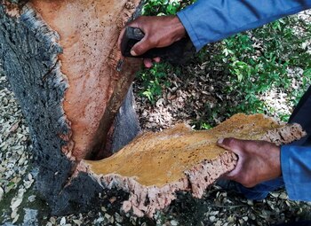 “Cuando llega una sequía, cuando