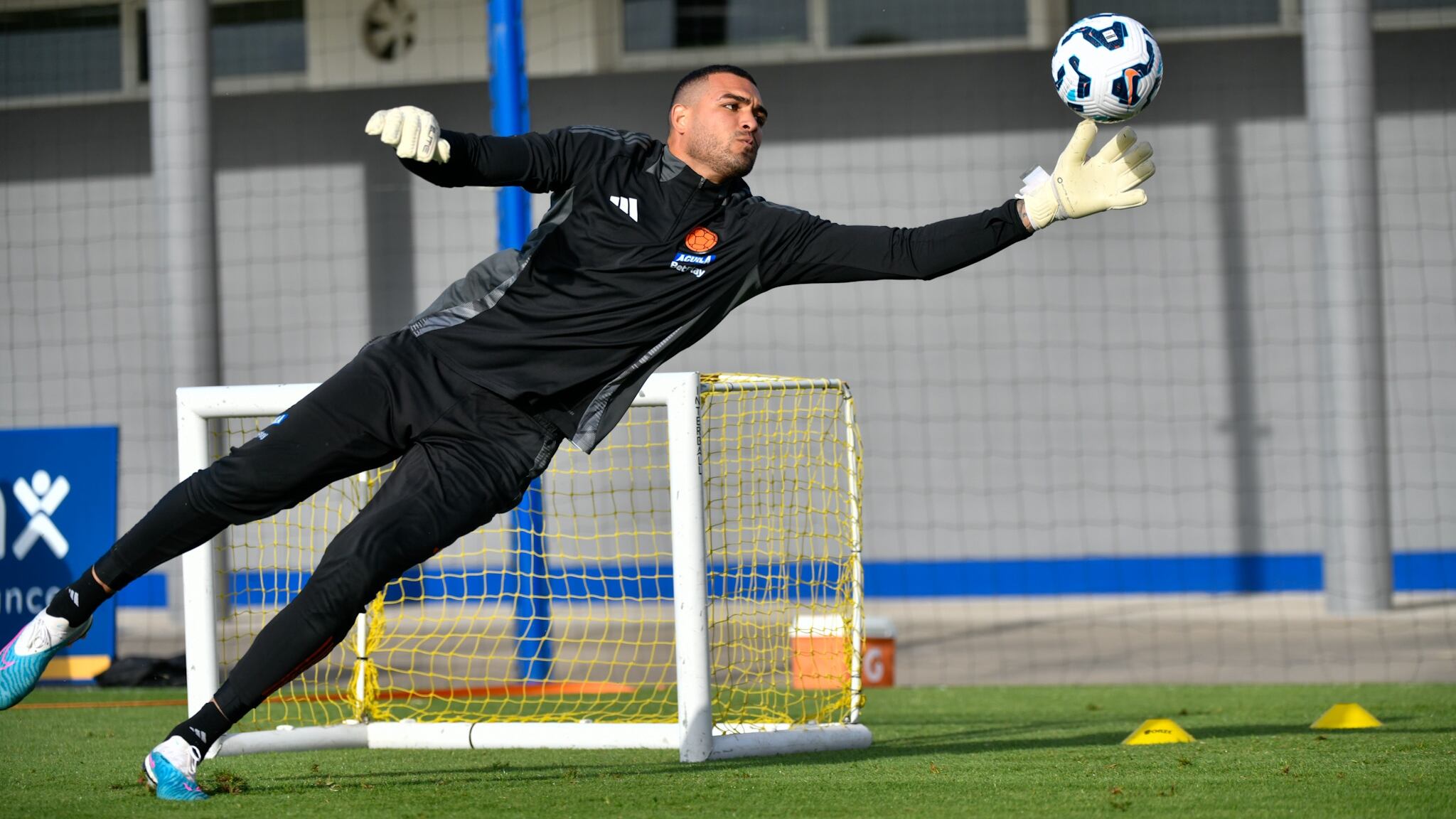 Álvaro Montero ha sido uno de los jugadores más habituales en las convocatorias de la selección Colombia con el técnico Néstor Lorenzo - crédito Federación Colombiana de Fútbol