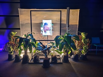 La exposición “La búsqueda: un lugar de encuentro” propone memoria, verdad y reparación para las familias víctimas de desaparición forzada en Colombia - crédito Infobae Colombia