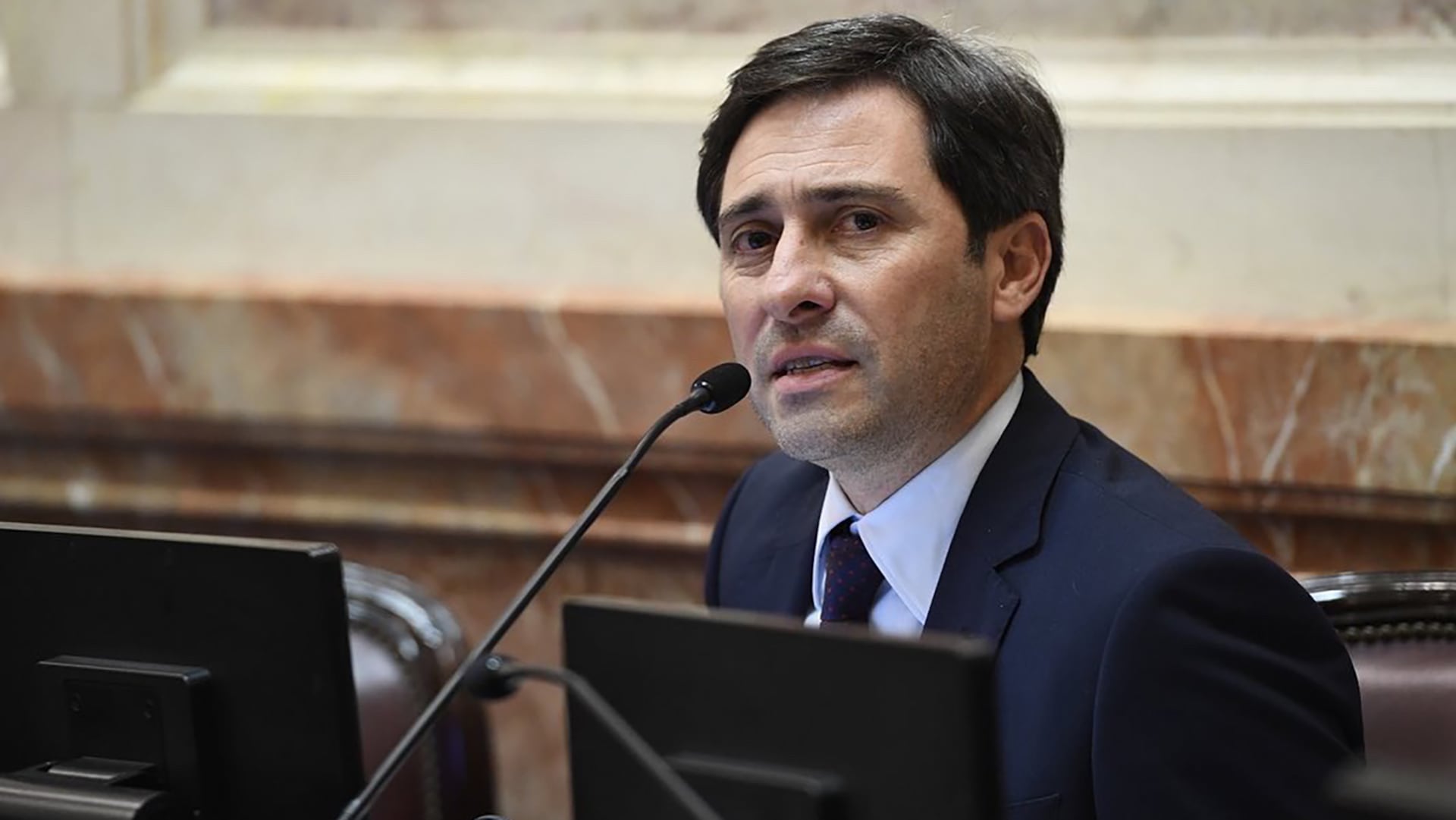 El presidente del PRO en la Cámara alta, Martín Goerling Lara (Prensa Senado)