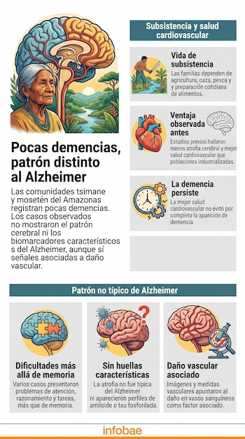 Infografía con ilustraciones de una mujer de edad avanzada, cerebros, un paisaje amazónico, un corazón, un reloj e iconos explicativos.