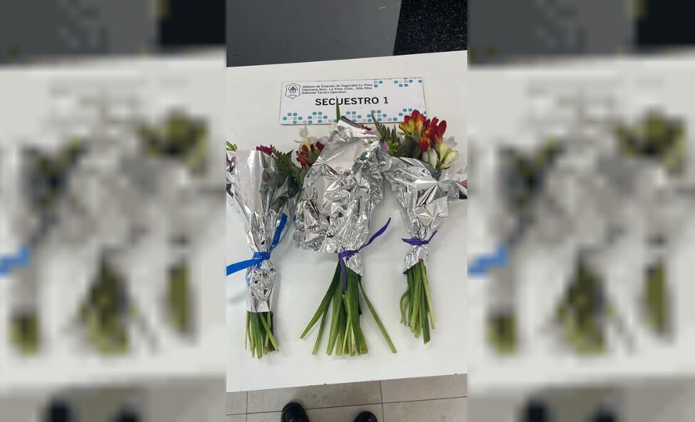 Un adolescente robó tres ramos de flores para su pareja y fue detenido en La Plata (Policía)