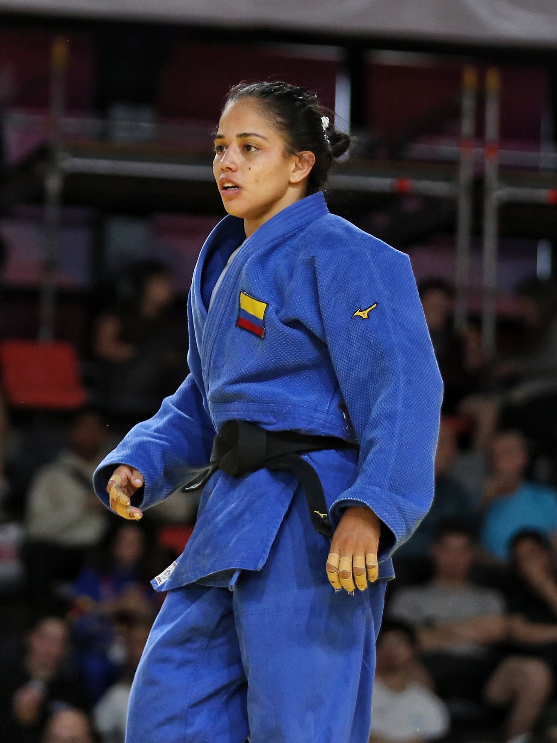 El judo es otra de las pruebas en donde Colombia busca el título en la disciplina - crédito Comité Olímpico Colombiano