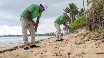 La Fundación Eco-Bahia escala su