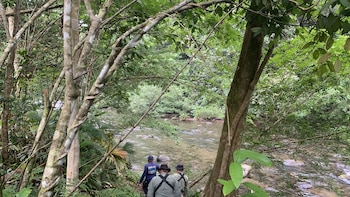 Autoridades ambientales panameñas intensifican presencia