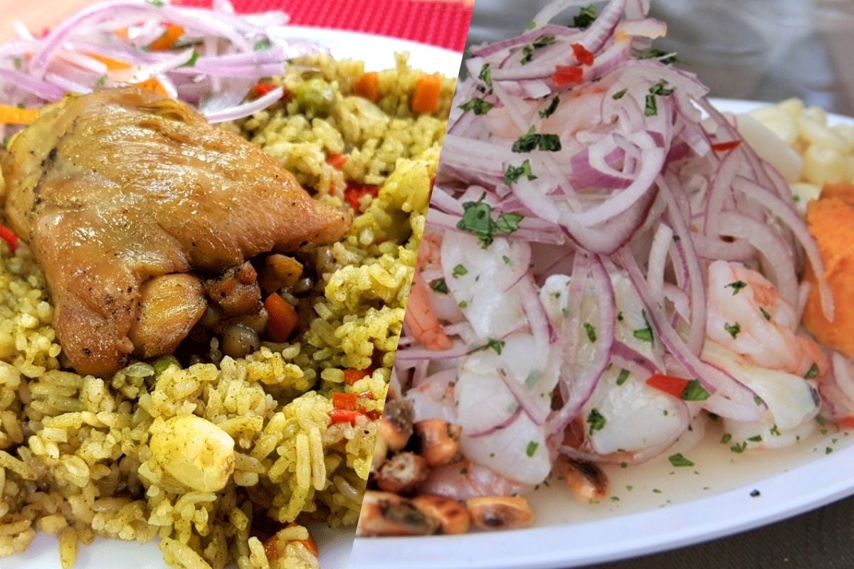 Fotografia referencial