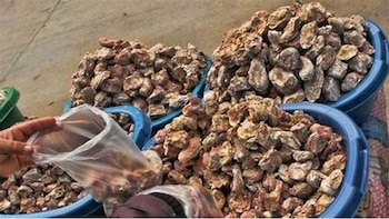 Este alimento nutritivo lo podemos