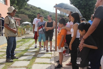 Museos abiertos se celebrará este