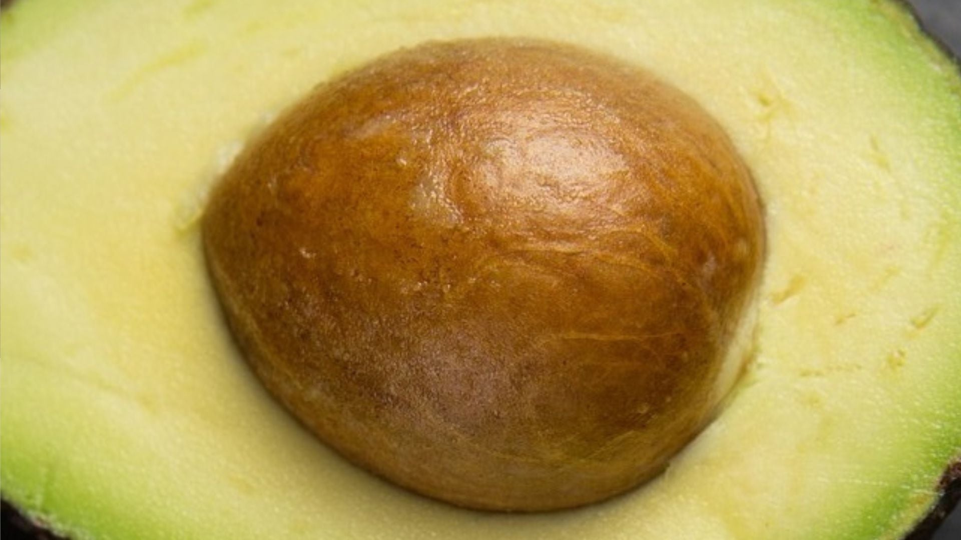 Palta. El sector agroexportador peruano alcanzó en 2025 su mayor expansión histórica con exportaciones que superaron los US$15.000 millones.