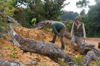 Los trabajos de excavación arqueológica