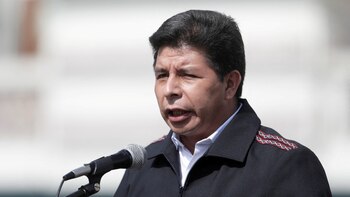 Die Millionärsverluste, die Pedro Castillos