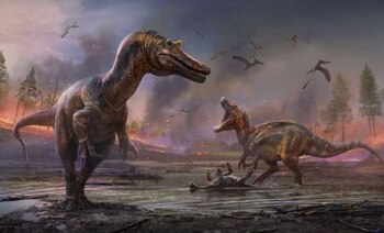 Los investigadores afirmaron que Janavis