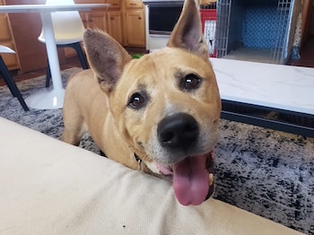 Durante dos años, los trabajadores