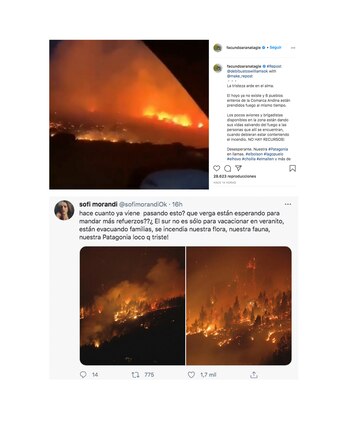 Los tuits de Facundo Arana