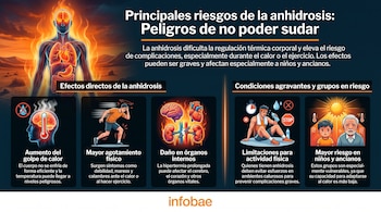 Infografía sobre riesgos de anhidrosis con un cuerpo en llamas, iconos de golpe de calor, agotamiento, daño orgánico, limitaciones físicas y población vulnerable.